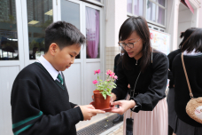 張沛松紀念中學