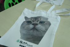 張沛松紀念中學