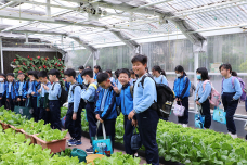 張沛松紀念中學